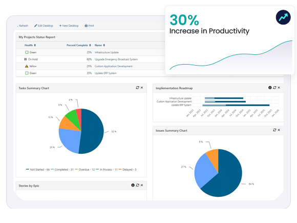 Project Portfolio Management PPM